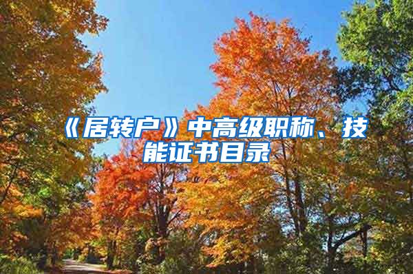 《居转户》中高级职称、技能证书目录