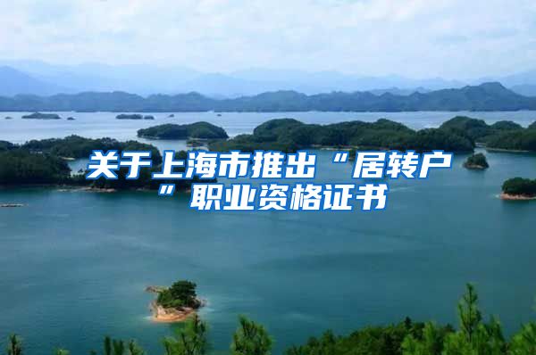 关于上海市推出“居转户”职业资格证书
