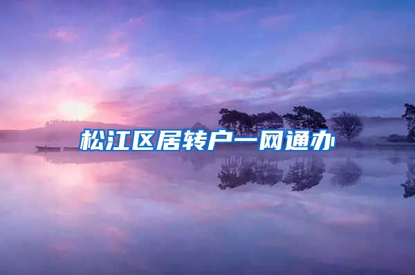 松江区居转户一网通办