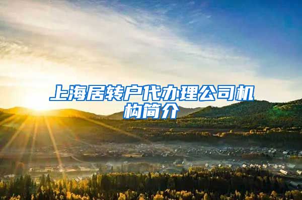上海居转户代办理公司机构简介