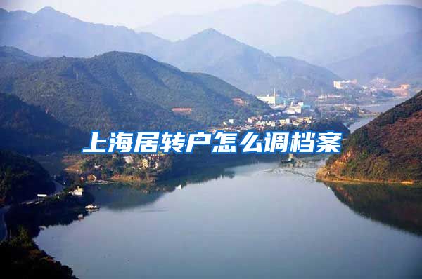 上海居转户怎么调档案