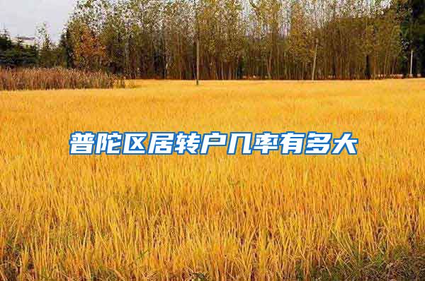 普陀区居转户几率有多大
