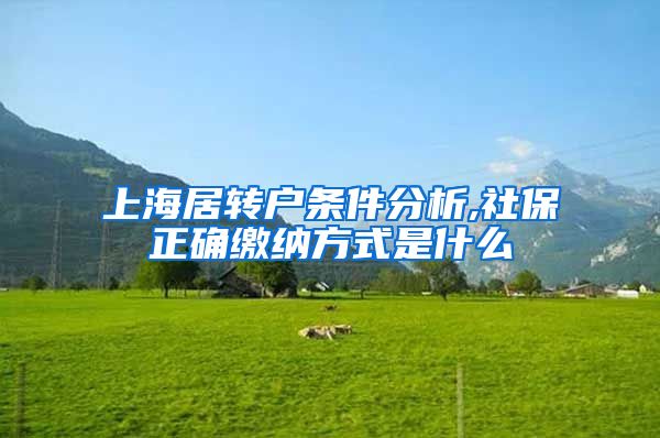 上海居转户条件分析,社保正确缴纳方式是什么