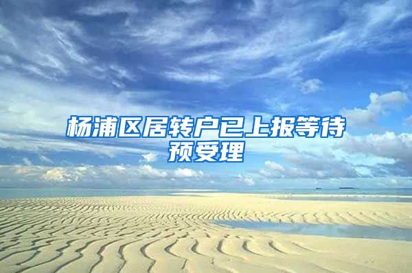 杨浦区居转户已上报等待预受理