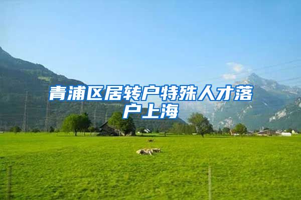 青浦区居转户特殊人才落户上海