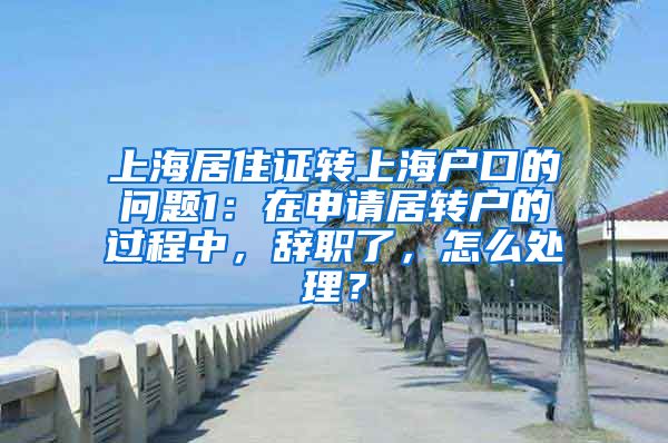 上海居住证转上海户口的问题1：在申请居转户的过程中，辞职了，怎么处理？