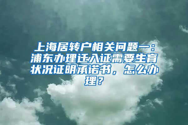 上海居转户相关问题一：浦东办理迁入证需要生育状况证明承诺书，怎么办理？