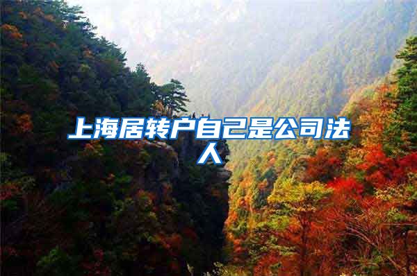 上海居转户自己是公司法人
