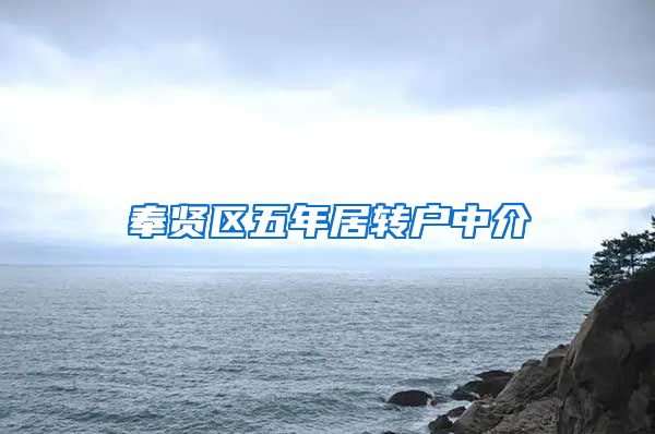 奉贤区五年居转户中介