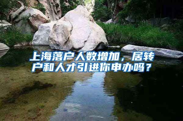 上海落户人数增加，居转户和人才引进你申办吗？