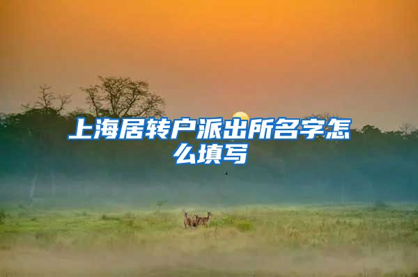上海居转户派出所名字怎么填写