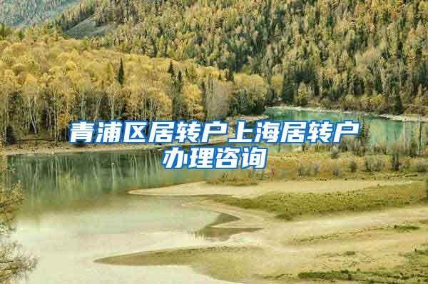 青浦区居转户上海居转户办理咨询