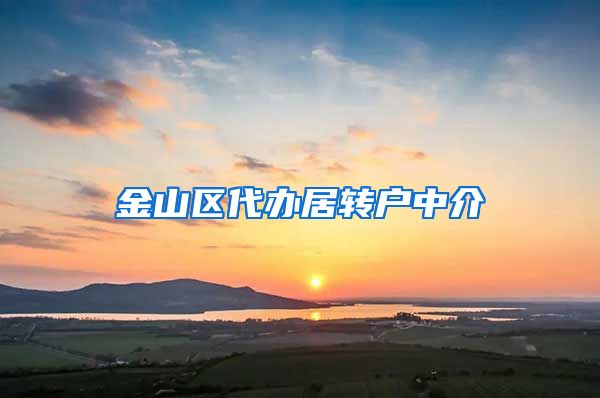金山区代办居转户中介