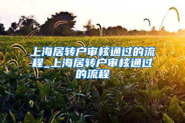 上海居转户审核通过的流程_上海居转户审核通过的流程