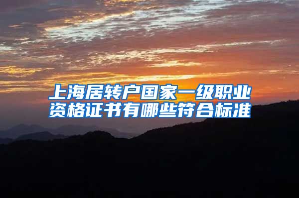 上海居转户国家一级职业资格证书有哪些符合标准