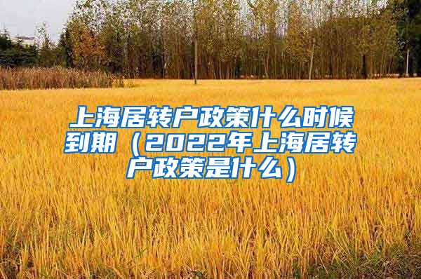 上海居转户政策什么时候到期（2022年上海居转户政策是什么）