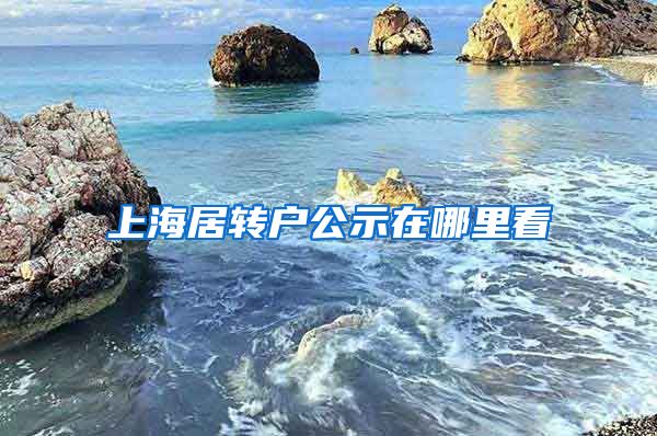 上海居转户公示在哪里看