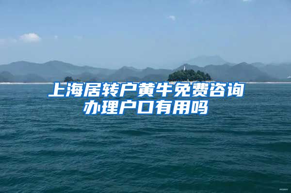 上海居转户黄牛免费咨询办理户口有用吗