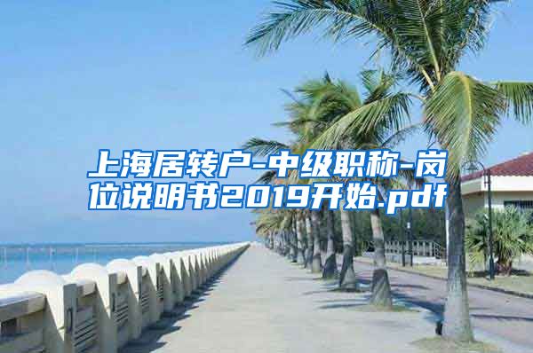 上海居转户-中级职称-岗位说明书2019开始.pdf