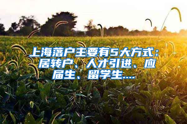 上海落户主要有5大方式： 居转户、人才引进、应届生、留学生....