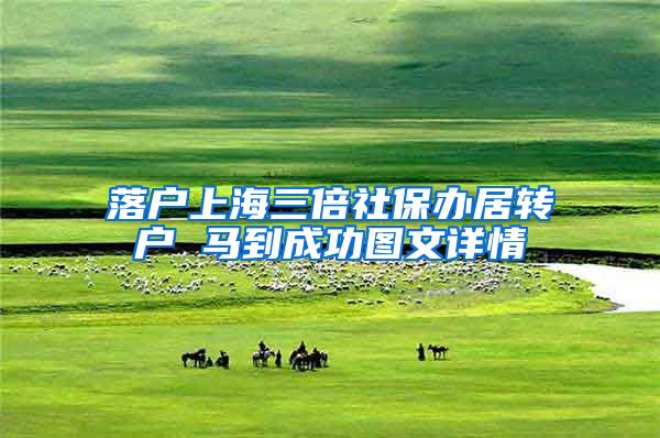 落户上海三倍社保办居转户 马到成功图文详情