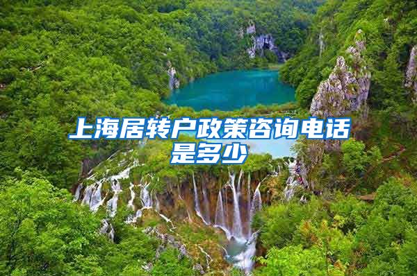 上海居转户政策咨询电话是多少