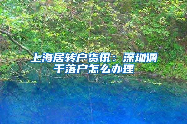 上海居转户资讯：深圳调干落户怎么办理