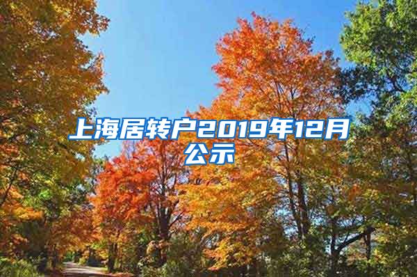 上海居转户2019年12月公示