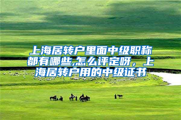 上海居转户里面中级职称都有哪些,怎么评定呀，上海居转户用的中级证书
