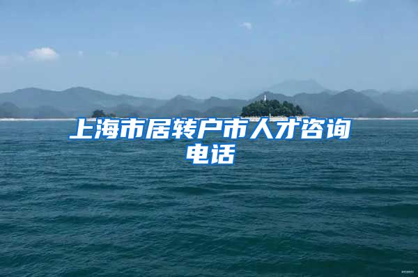 上海市居转户市人才咨询电话