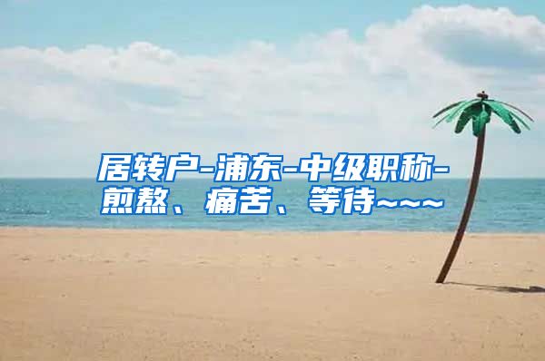 居转户-浦东-中级职称-煎熬、痛苦、等待~~~