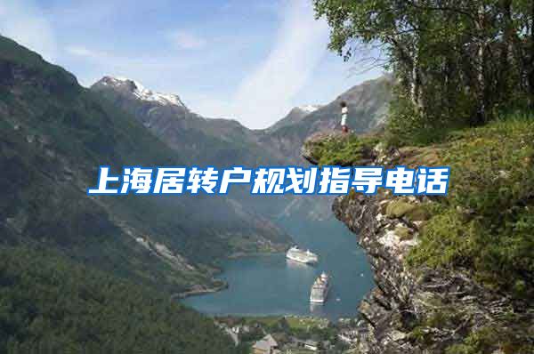 上海居转户规划指导电话