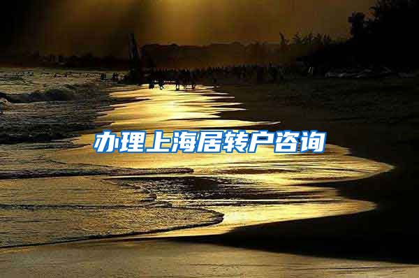 办理上海居转户咨询