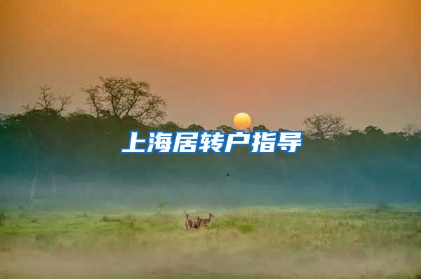 上海居转户指导