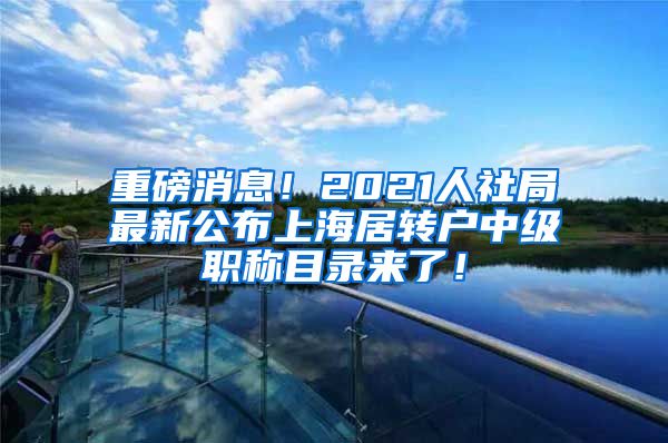 重磅消息！2021人社局最新公布上海居转户中级职称目录来了！