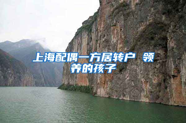 上海配偶一方居转户 领养的孩子