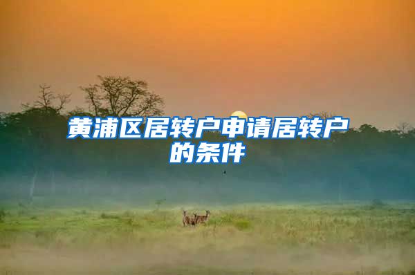 黄浦区居转户申请居转户的条件