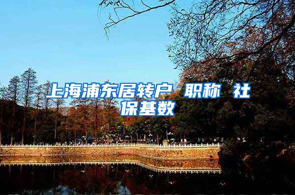 上海浦东居转户 职称 社保基数