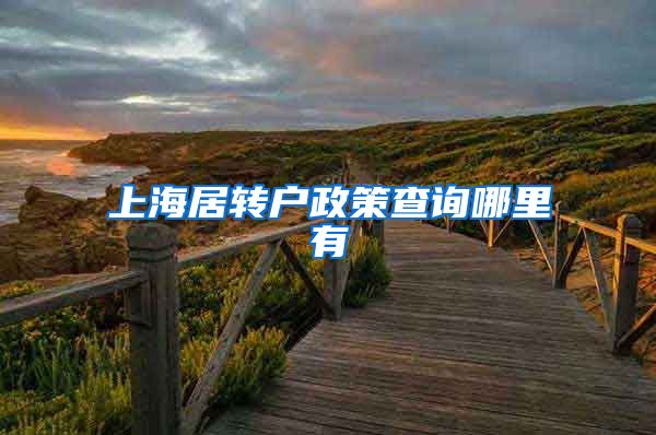 上海居转户政策查询哪里有