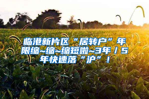 临港新片区“居转户”年限缩~缩~缩短啦~3年／5年快速落“沪”！