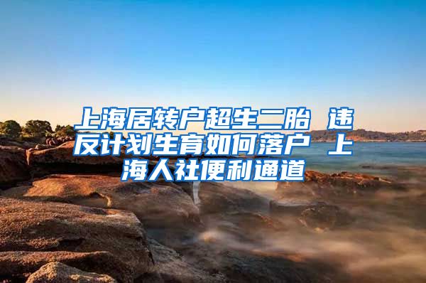 上海居转户超生二胎 违反计划生育如何落户 上海人社便利通道