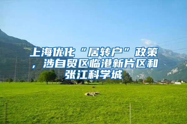 上海优化“居转户”政策，涉自贸区临港新片区和张江科学城