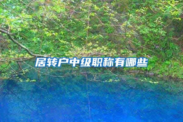 居转户中级职称有哪些