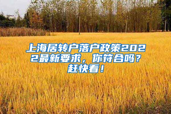 上海居转户落户政策2022最新要求，你符合吗？赶快看！