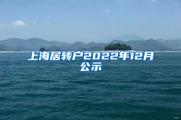 上海居转户2022年12月公示