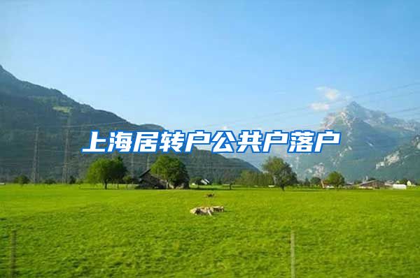 上海居转户公共户落户