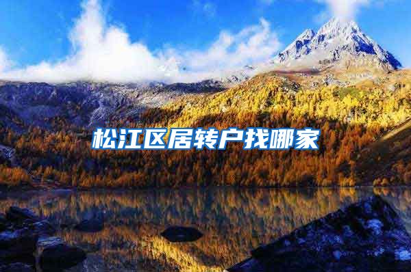 松江区居转户找哪家