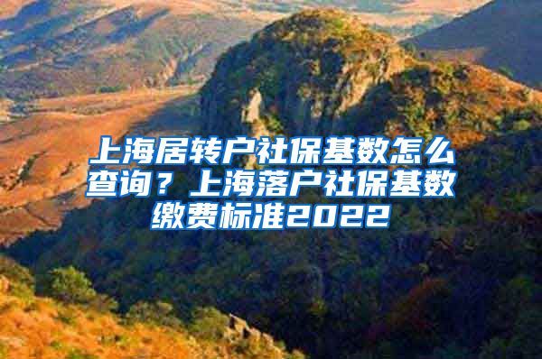 上海居转户社保基数怎么查询？上海落户社保基数缴费标准2022