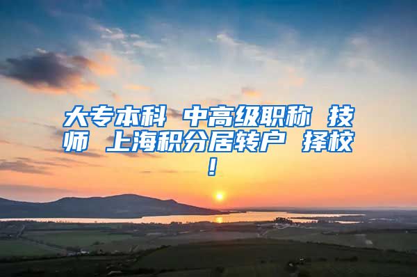 大专本科 中高级职称 技师 上海积分居转户 择校！