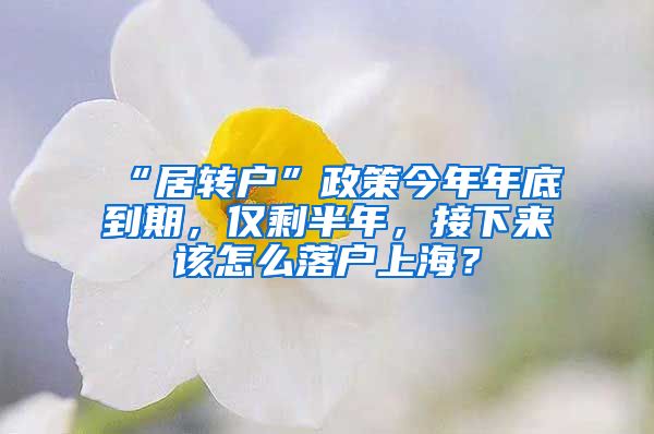 “居转户”政策今年年底到期，仅剩半年，接下来该怎么落户上海？